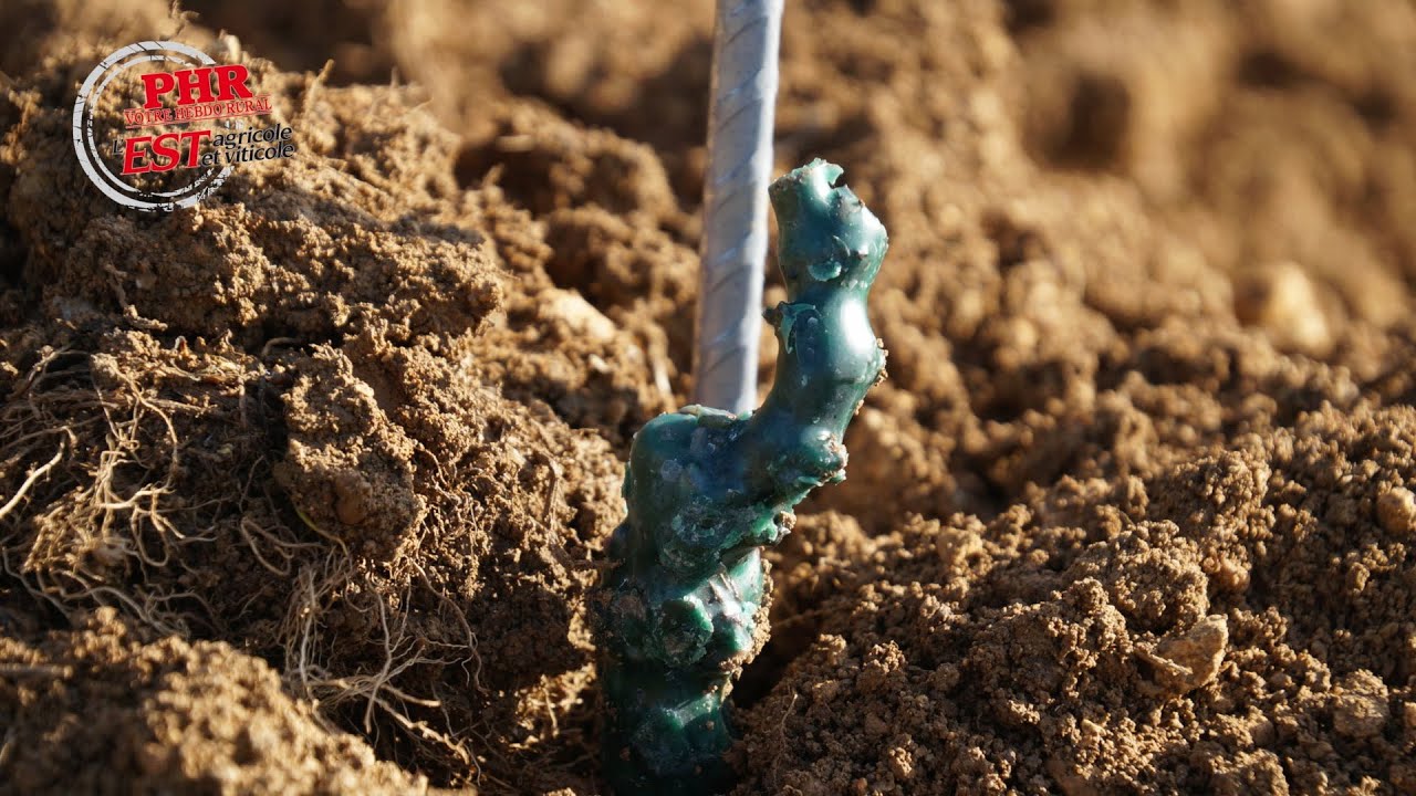Plantations viticoles par GPS et guidage laser