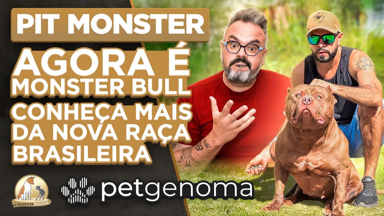 Pit Monster 🇧🇷 | Canil Guardi&otilde;es de Elite | Cinofilia Digital