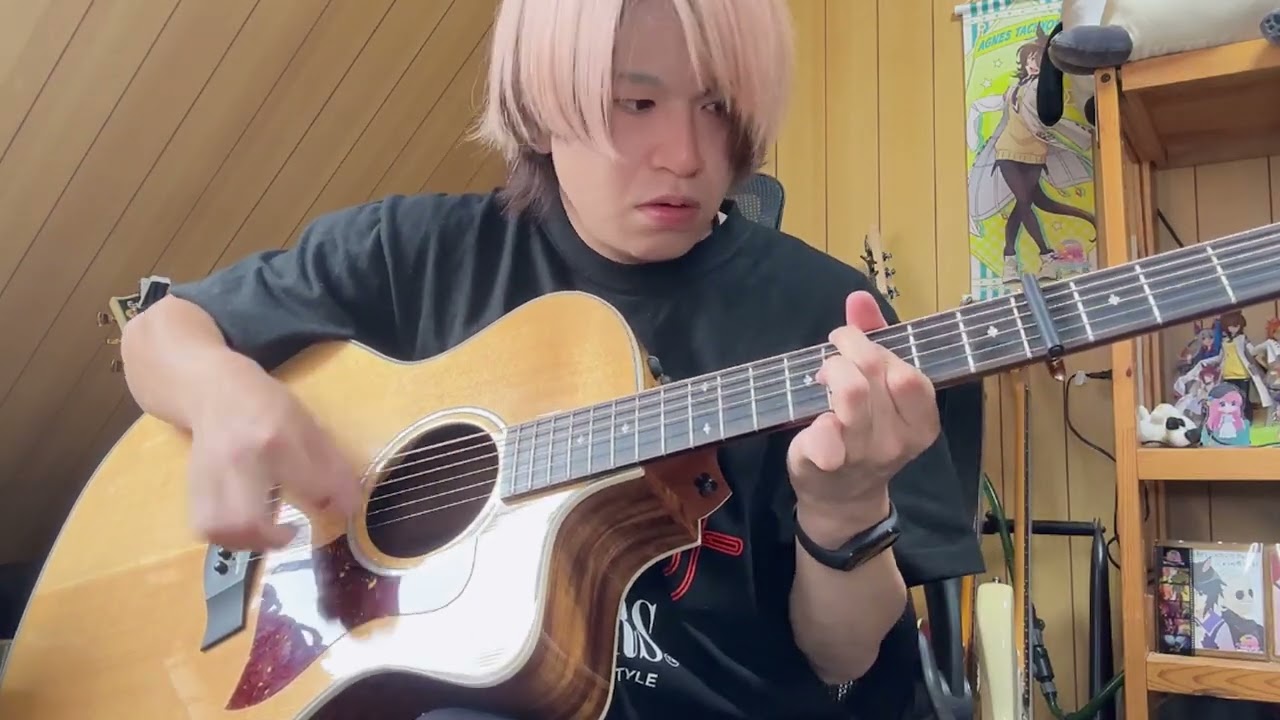 Bird of Passage/dustbox Guitar Cover