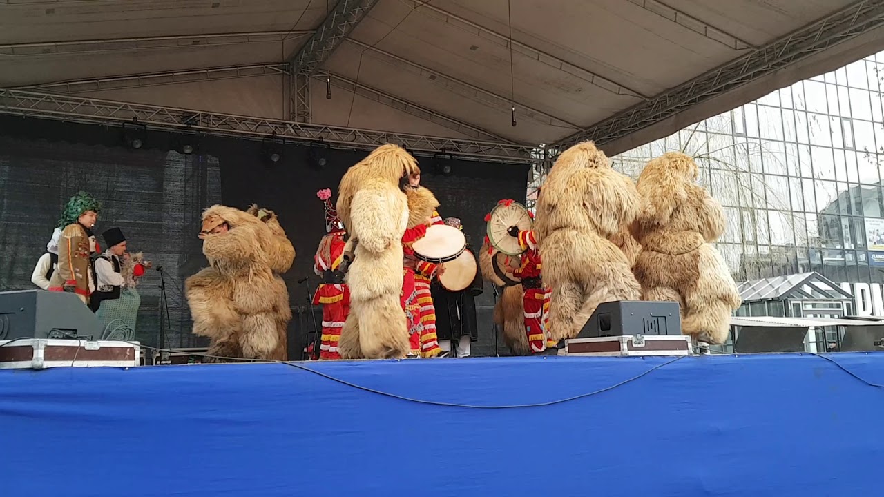 Ursii de la Udesti!