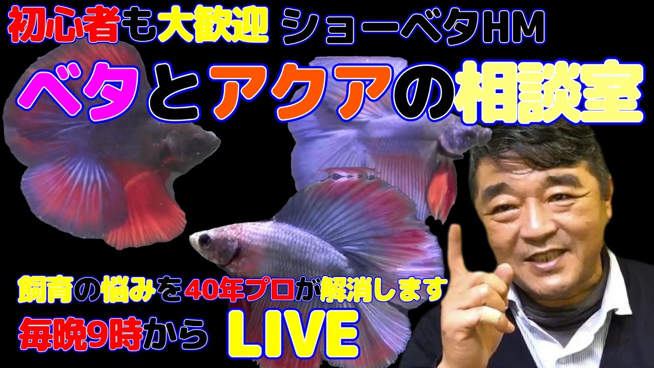 【創業40周年】ベタとアクアの何でも相談室　2026年3月18日