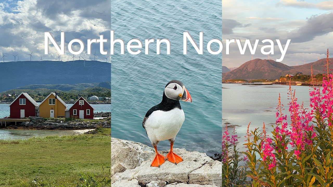 First time in Northern Norway: summer 2025 | Travel Vlog