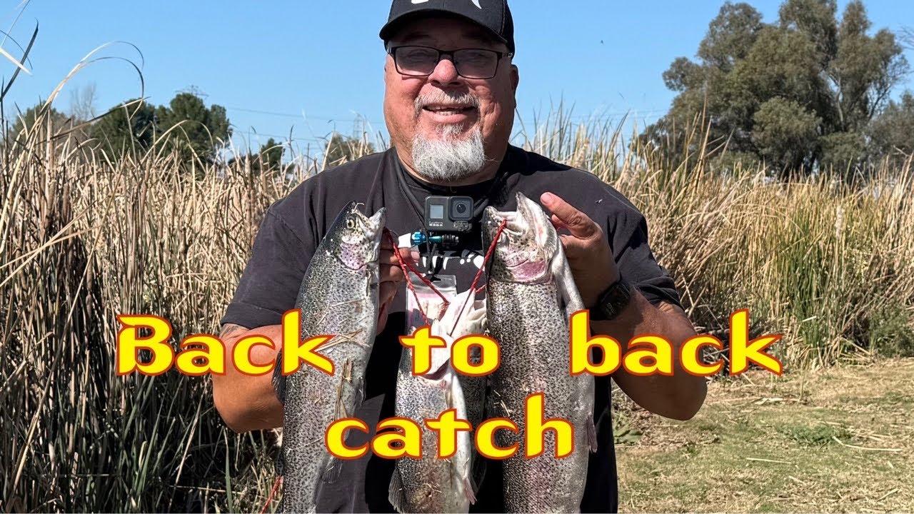 Back to back catch Prado park