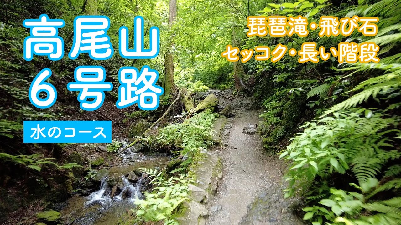 【高尾山】6号路 / 沢沿いの人気コース / 琵琶滝・飛び石など見どころもたくさん！ / 夏でも涼しげ！