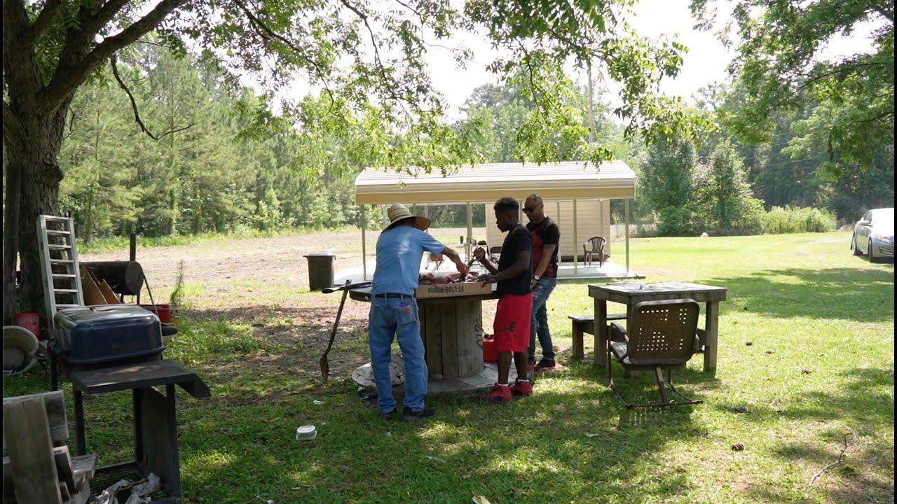 EATING YARD GATOR (Country Style)