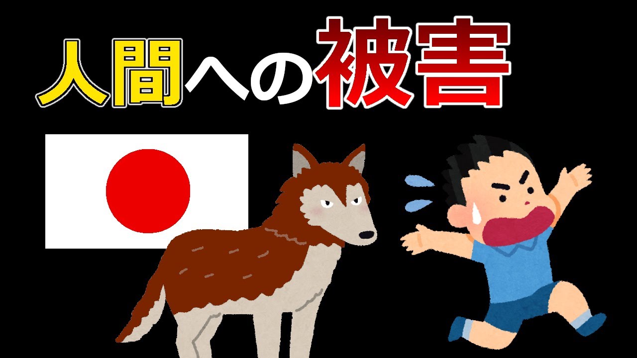 ニホンオオカミによって人間が受けた被害【獣害】