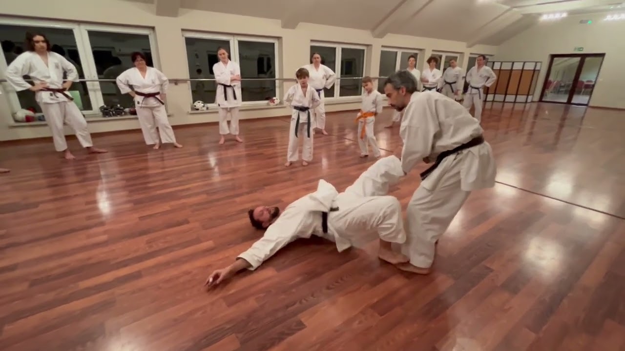 shihan Michał Piotrkowicz interpretacja kata Wankan