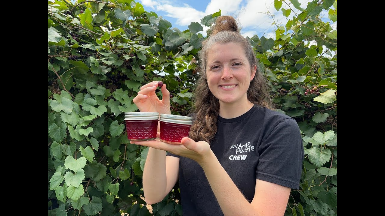 How to Make Muscadine Jelly with Anna The Archer