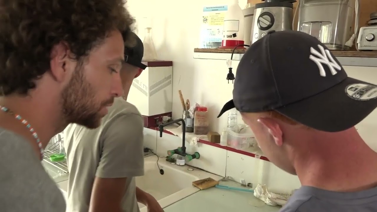 Les BTS Horticole en stage a l'Armeflhor