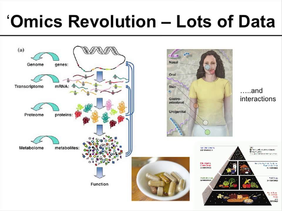 Use of Omics Technologies to Help Understand the Microbiome and Probiotic Functionality