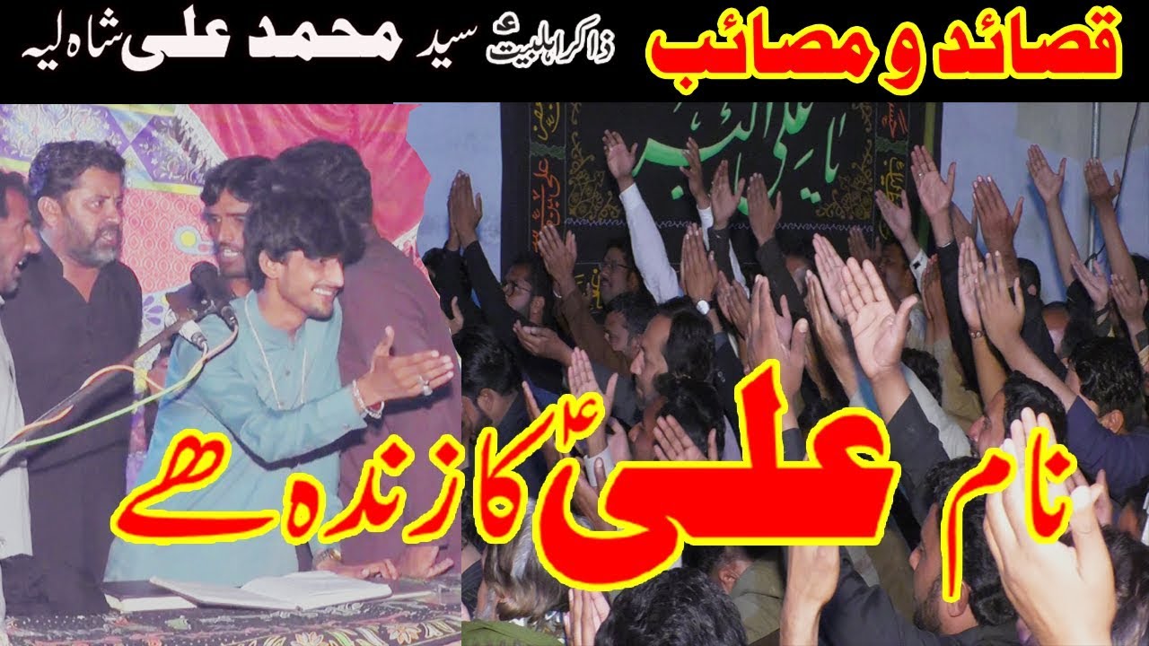 zakir syed muhammad ali shah mujahid layyah 2019-20