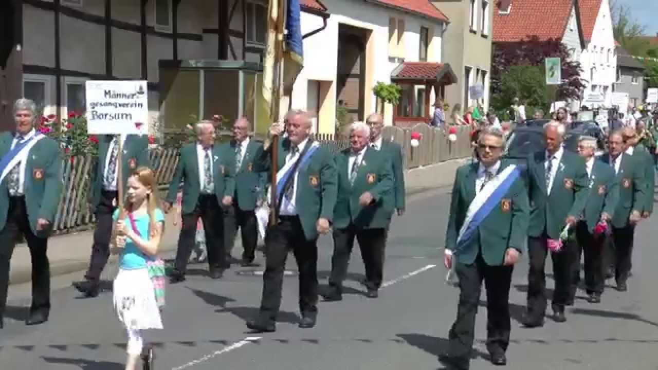 Festumzug 2014 in Borsum