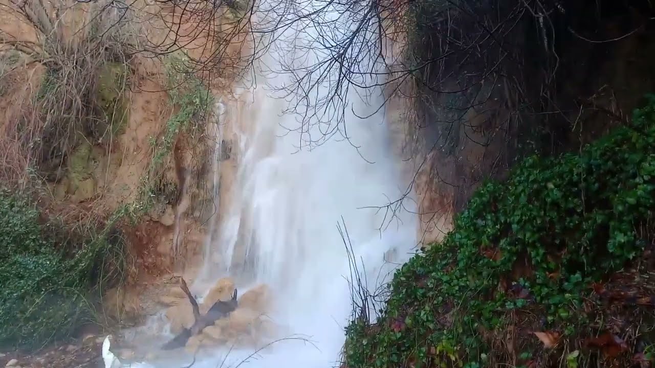 El nacimiento del zurreon de la viña.🌊🏞️🤠