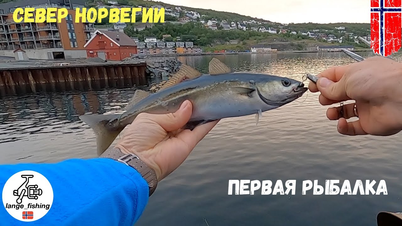 Северная Норвегия. Харстад. Первая рыбалка возле дома. Рыбалка в Норвегии. Рыбалка. Север Норвегии