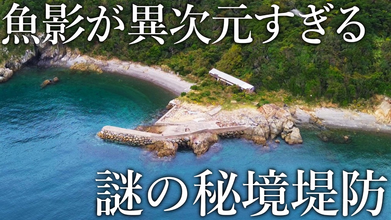 道が閉ざされた謎の堤防に潜入してみると想定外の大物が乱舞する地上の楽園だった…