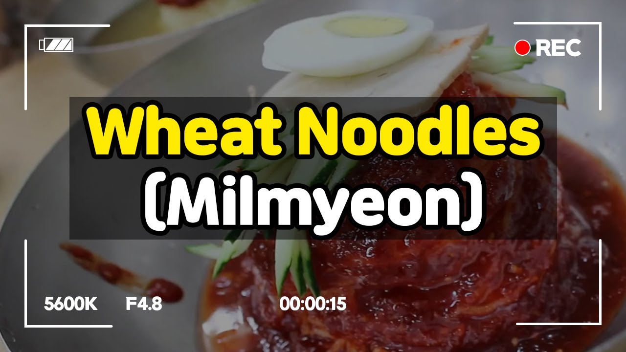 Foreigner tries Busan milmyeon for the first time! | 외국inKOREA | YANADOO Korea