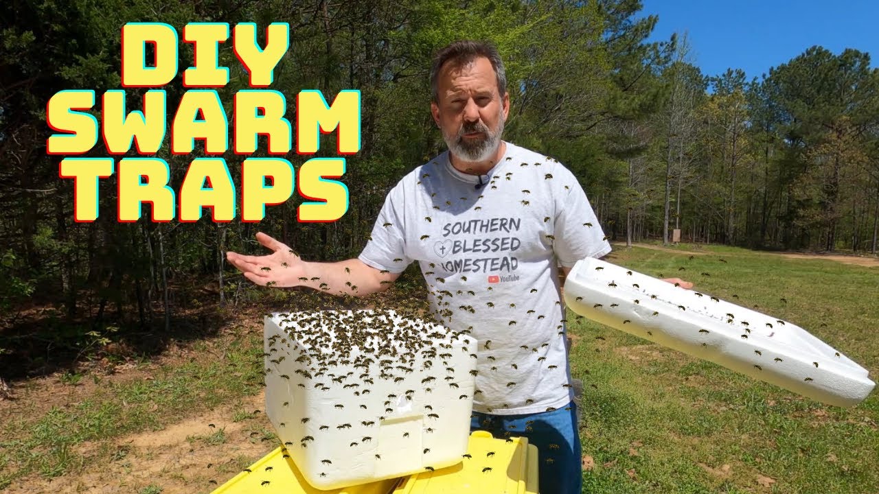 HOW TO Make DIY SwarmTraps | 3 Ways w/o Making New Boxes