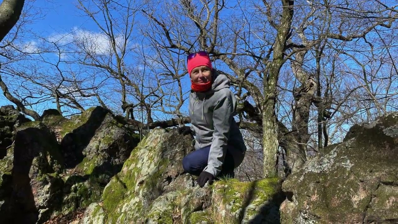 Jastrabska skala