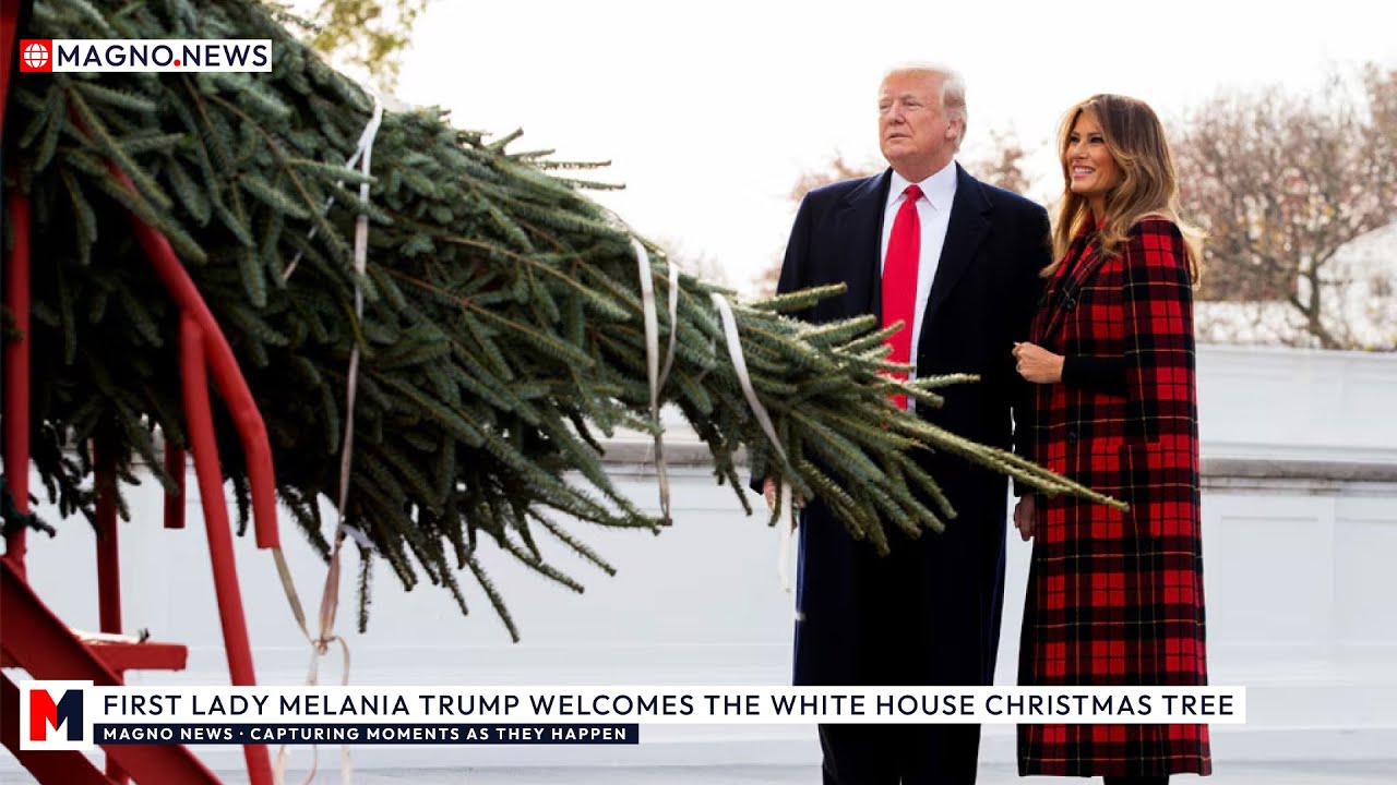 🇺🇸 First Lady Melania Trump Welcomes The White House Christmas Tree 🎄 [LIVE]