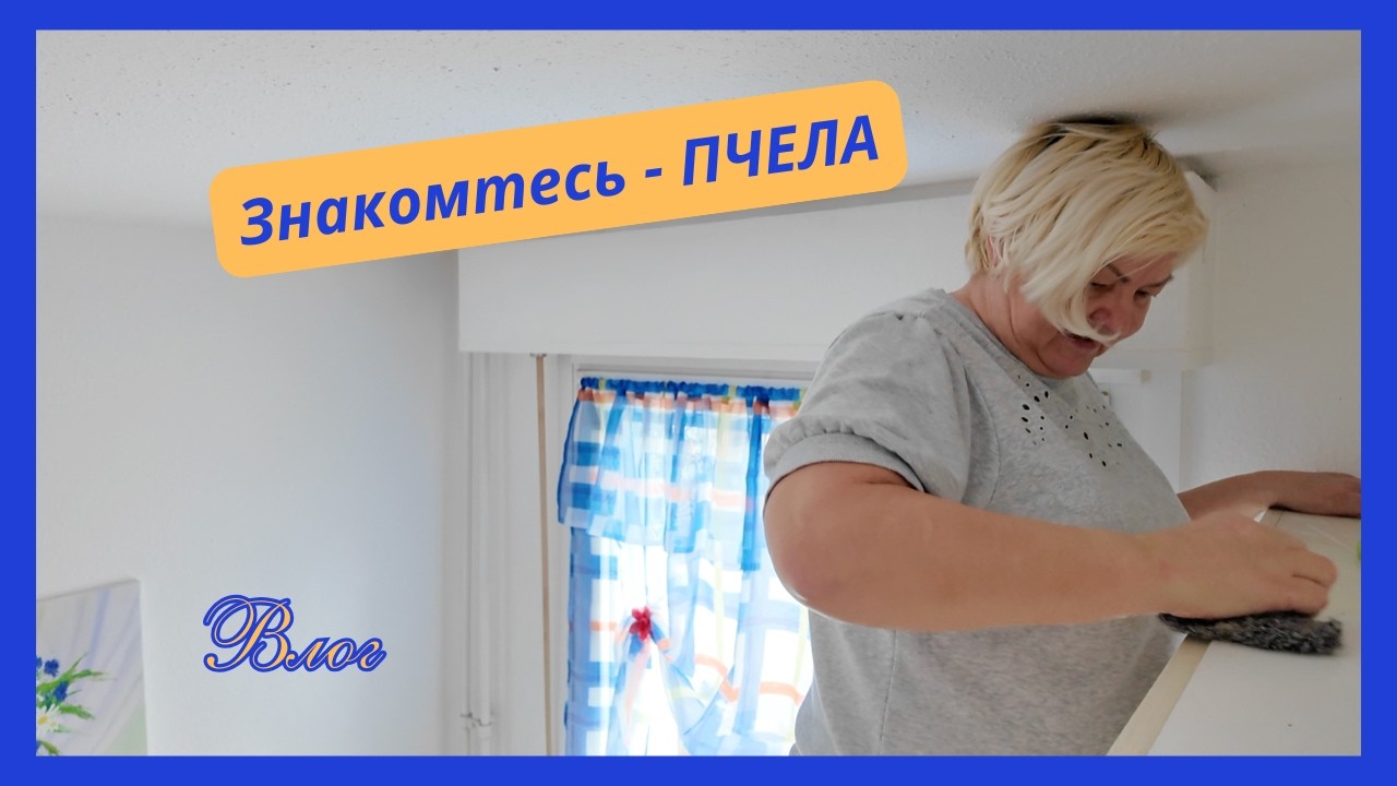 Весна -тружусь как пчела/Голова в порядке и порядок в голове