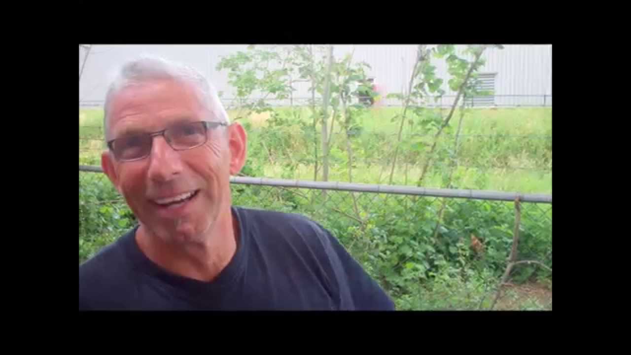Gevonden voorwerpen bij de stomerij