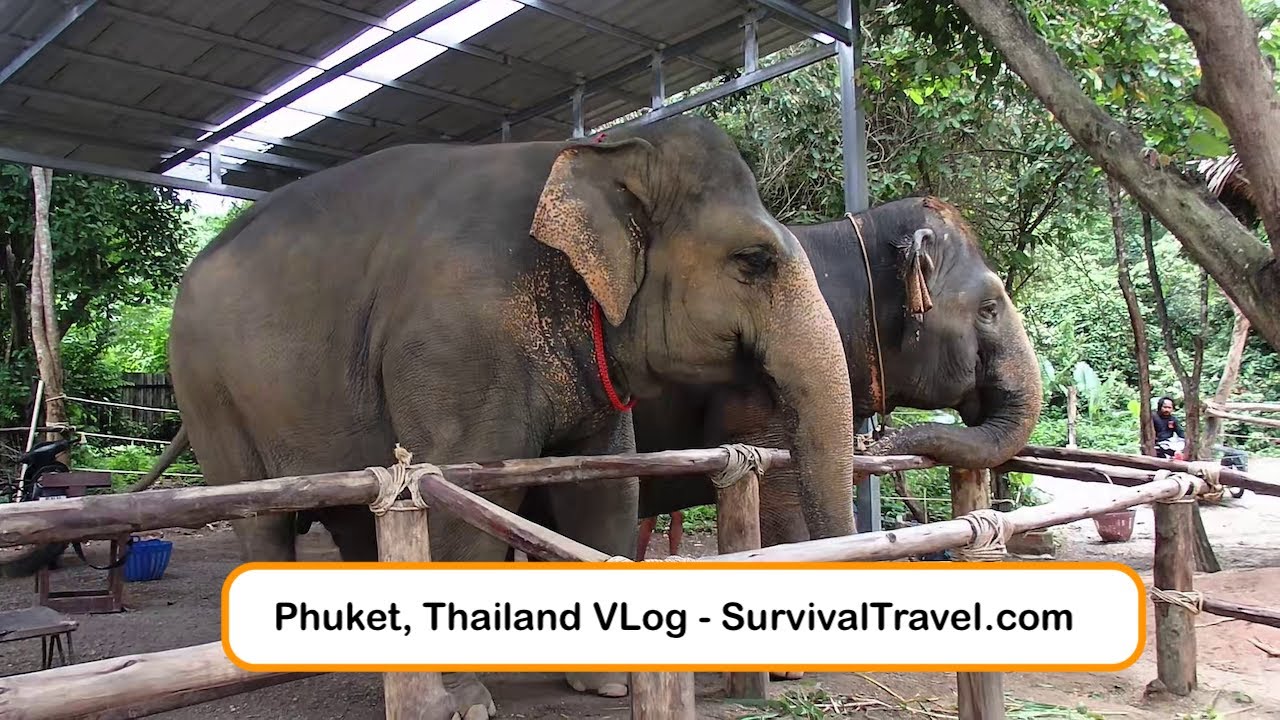 Phuket Thailand VLog Tour - 4 Days | SurvivalTravel.com