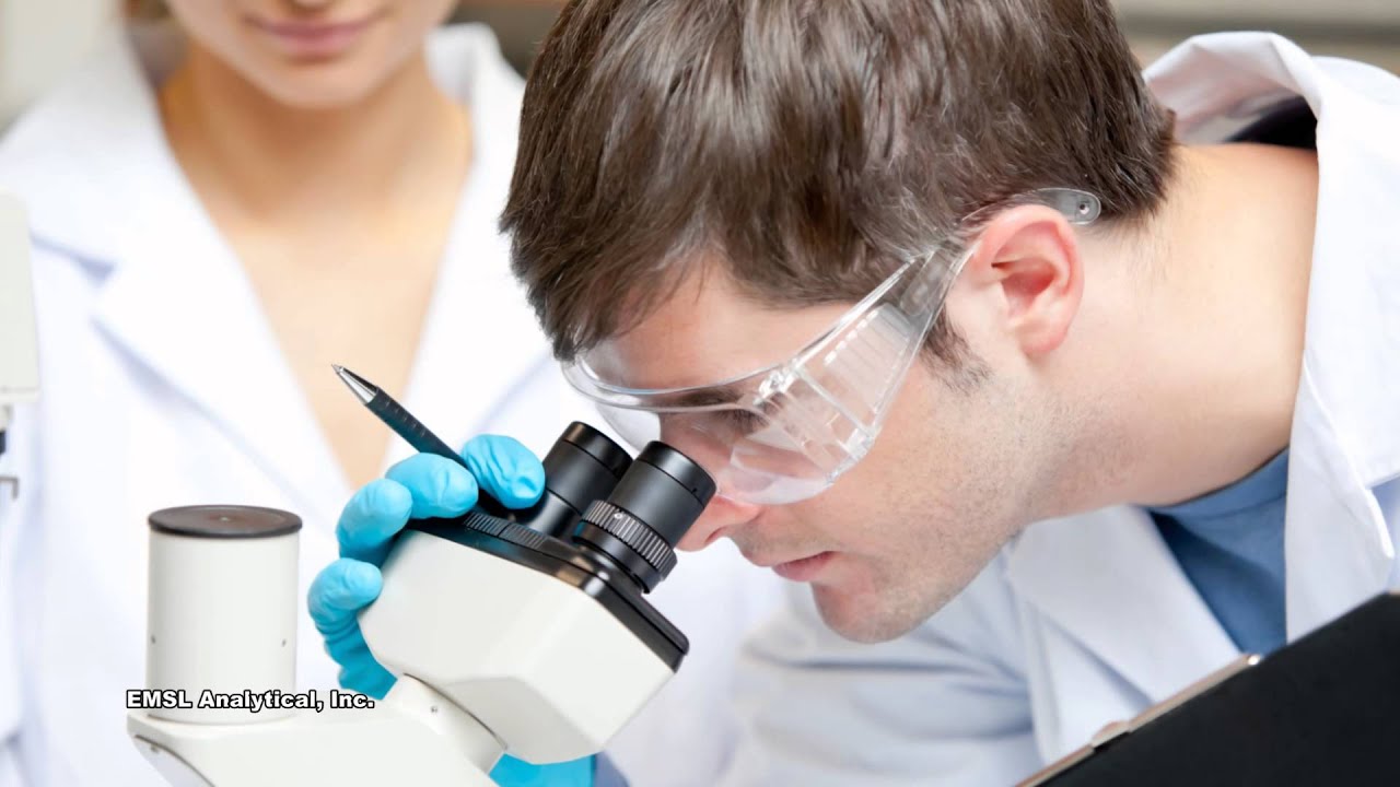 Industrial Hygiene Testing Laboratory by EMSL Analytical, Inc.
