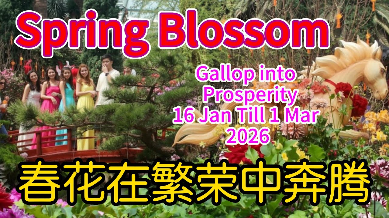Spring Blossom -Gallop  into prosperity From 16 Jan till 1 Mar 2026 1月17日