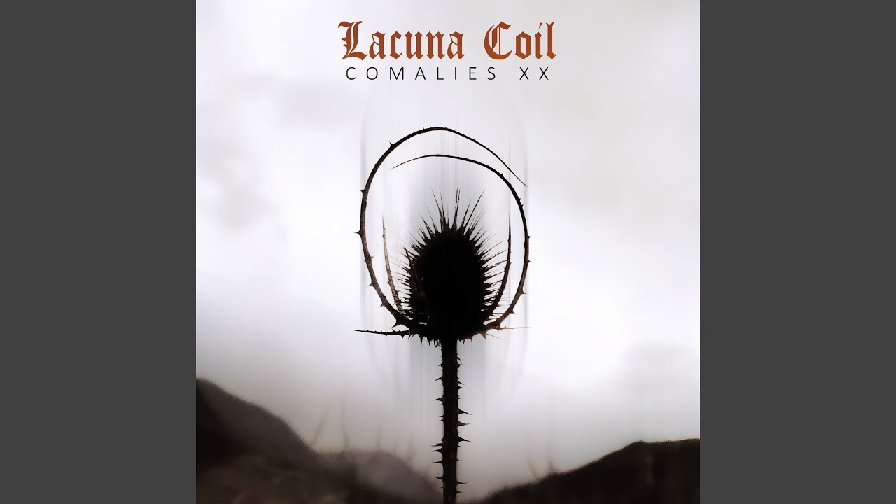 Comalies XX