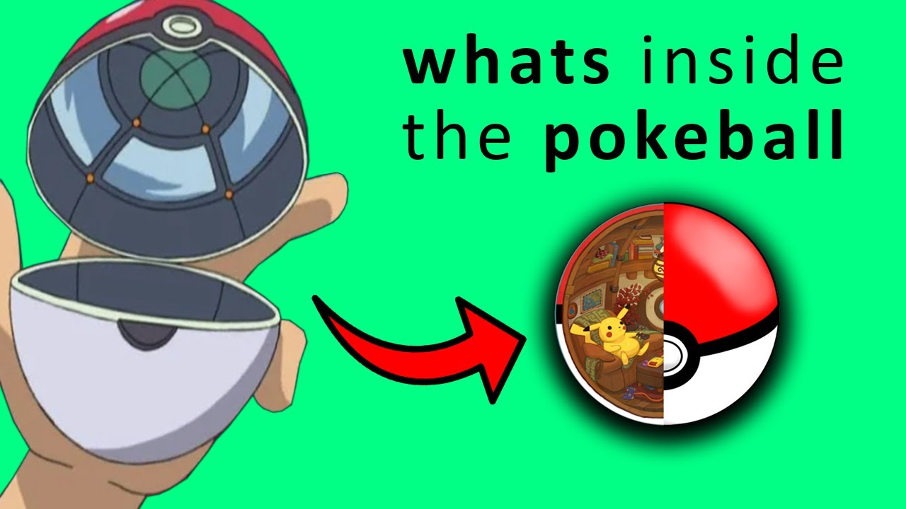 What Happens Inside The Pokeball