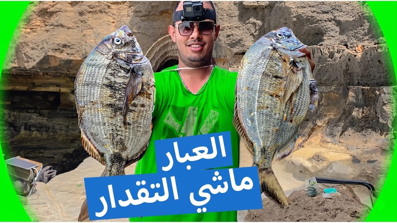 الوزن الحقيقي لسمك الشرغو