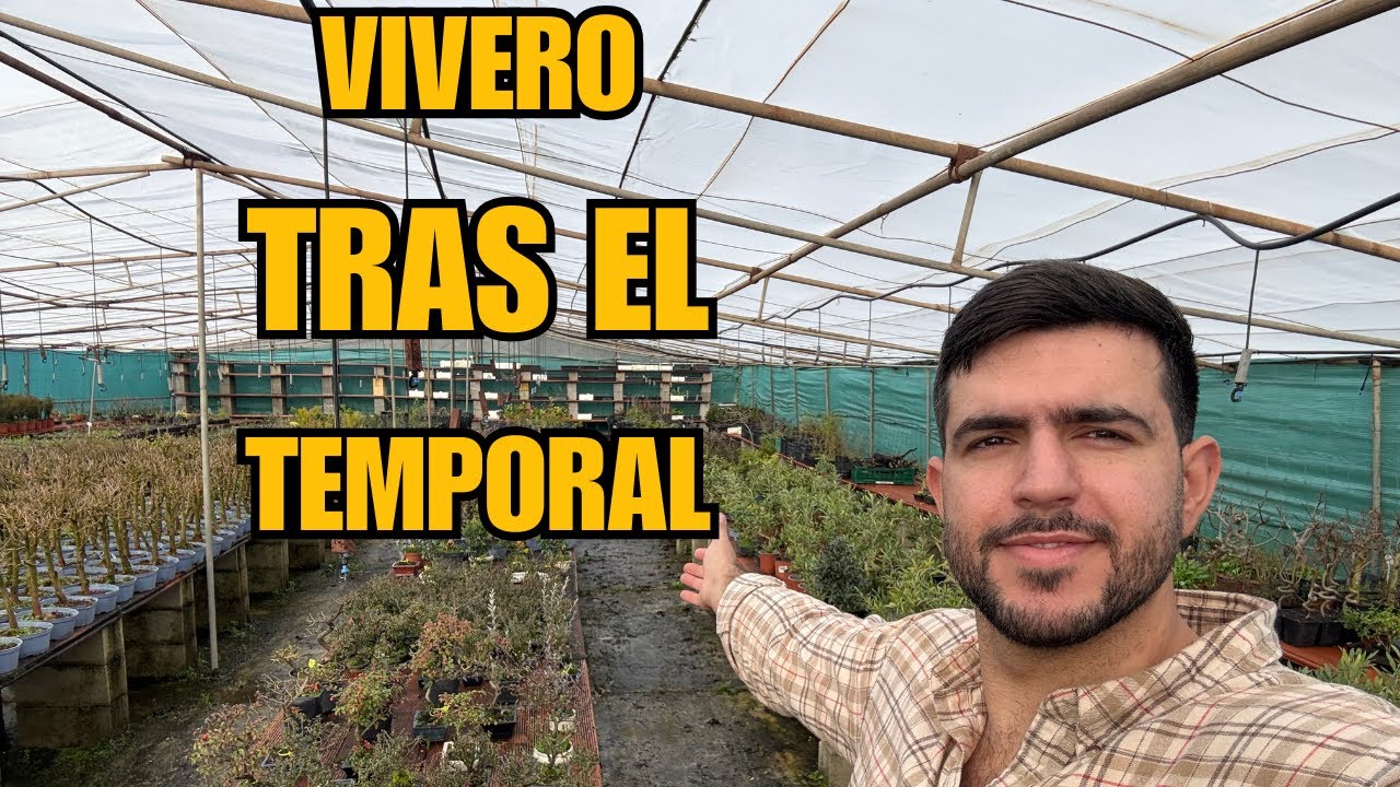 Os contamos como esta el vivero tras el temporal