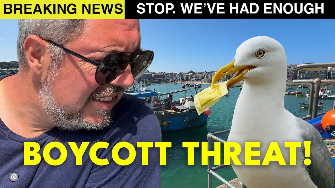St Ives Like You’ve NEVER Seen: Secret Pubs & Seagull Heists!
