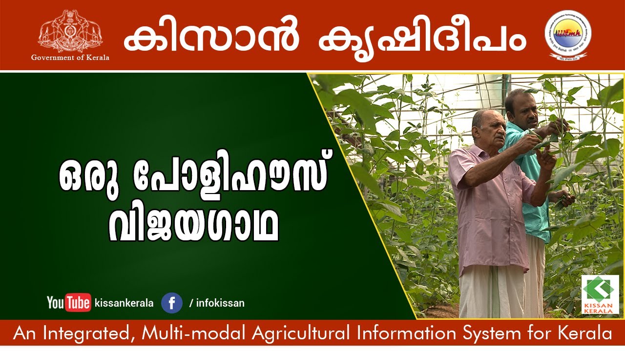 Success story of polyhouse cultivation