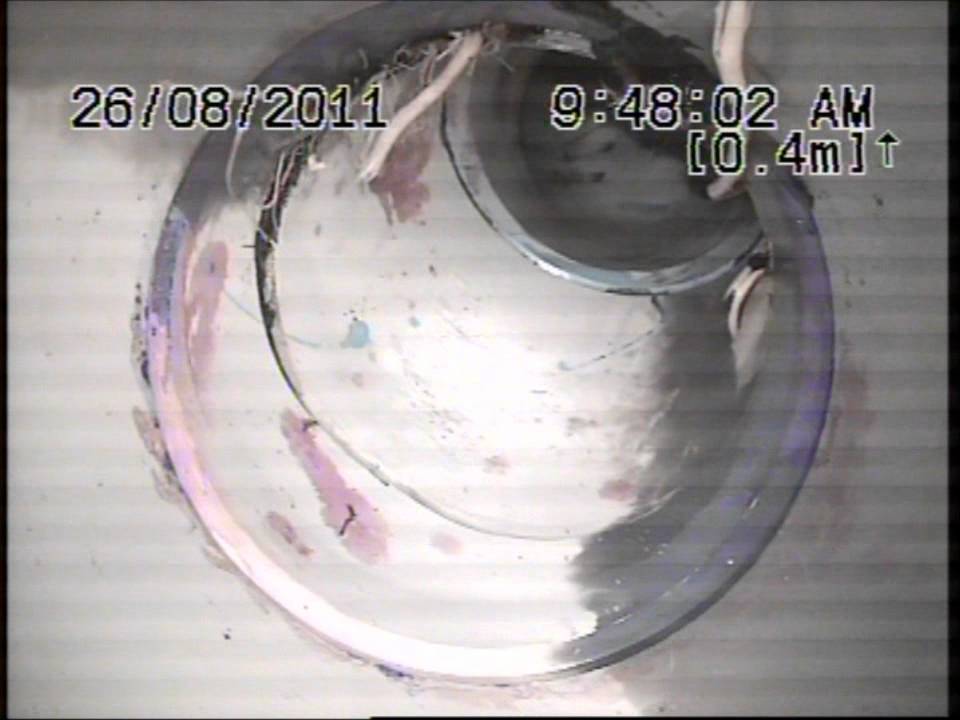 MASS ROOTS IN PVC RELINED