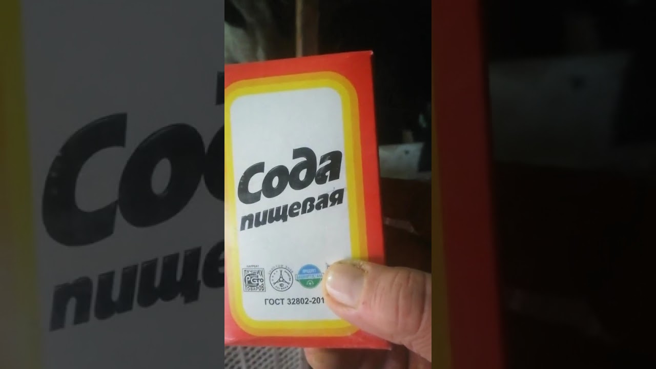 20 февраля 2026 г.