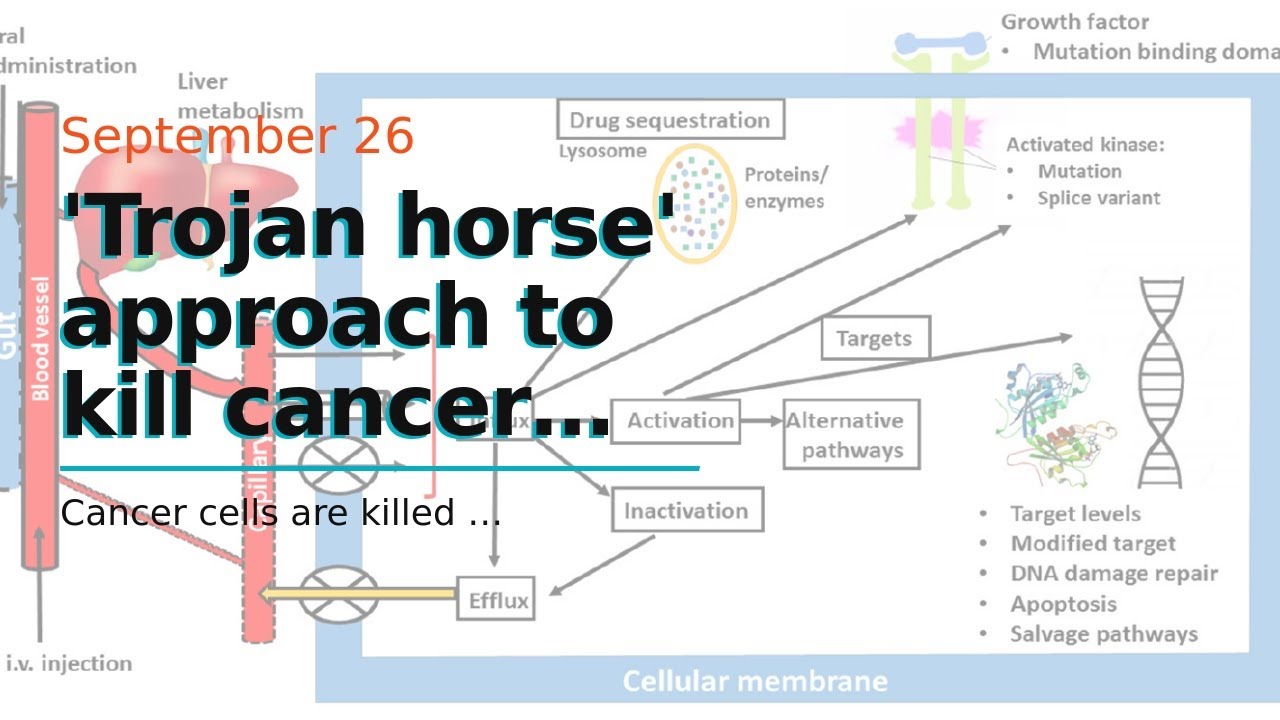 'Trojan horse' approach to kill cancer cells without using drugs