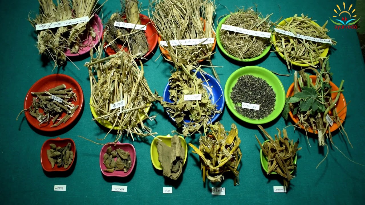 ब्रह्म रसायन के घटक द्रव्य आचार्य चरक के अनुसार brahm rasayan ingredients