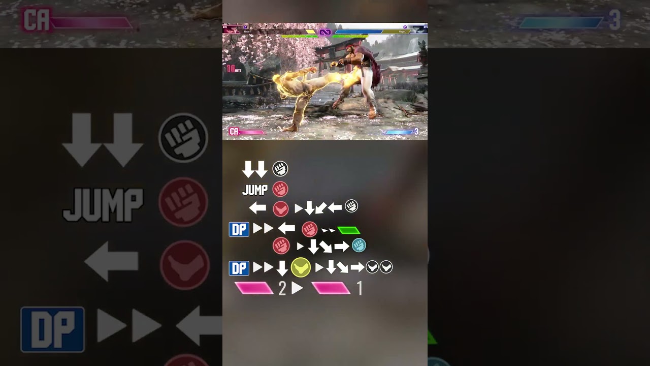 RYU INSANE COMBO WITH INPUTS