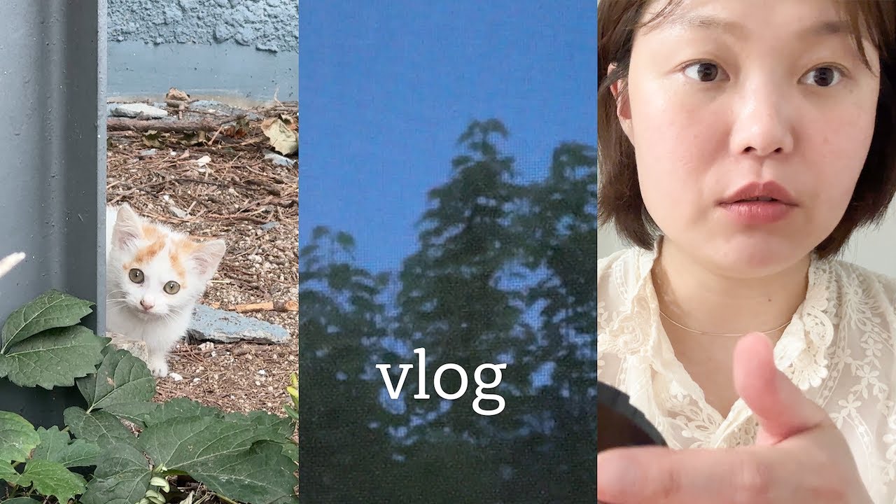도시락과 출근룩 | 한강 시집 독서, 바비브라운 팟루즈, 에릭 로메르 영화. 직장인 브이로그