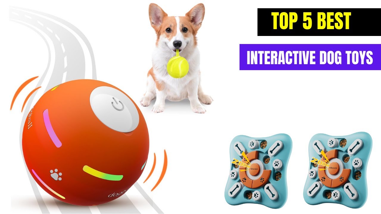 Top 5 Best Interactive Dog Toys for Endless Fun & Mental Stimulation