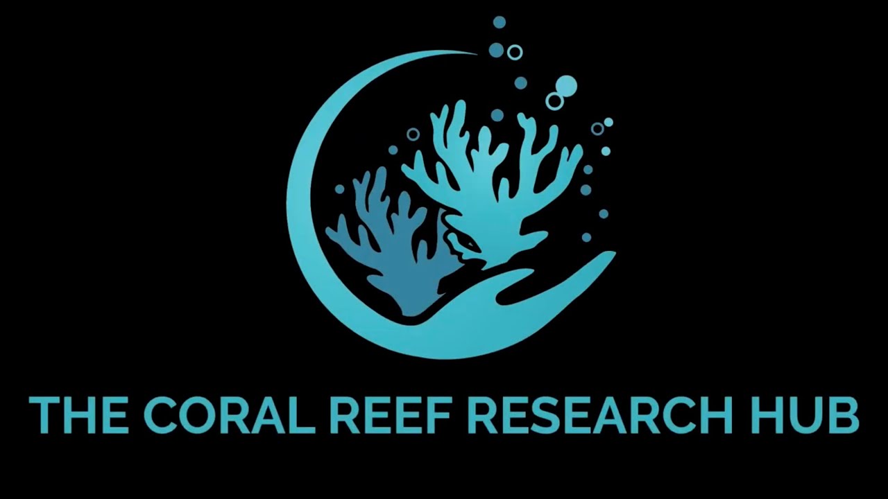 The Coral Reef Hub Historical Archive Information Video Marine Ecology Conservation Project