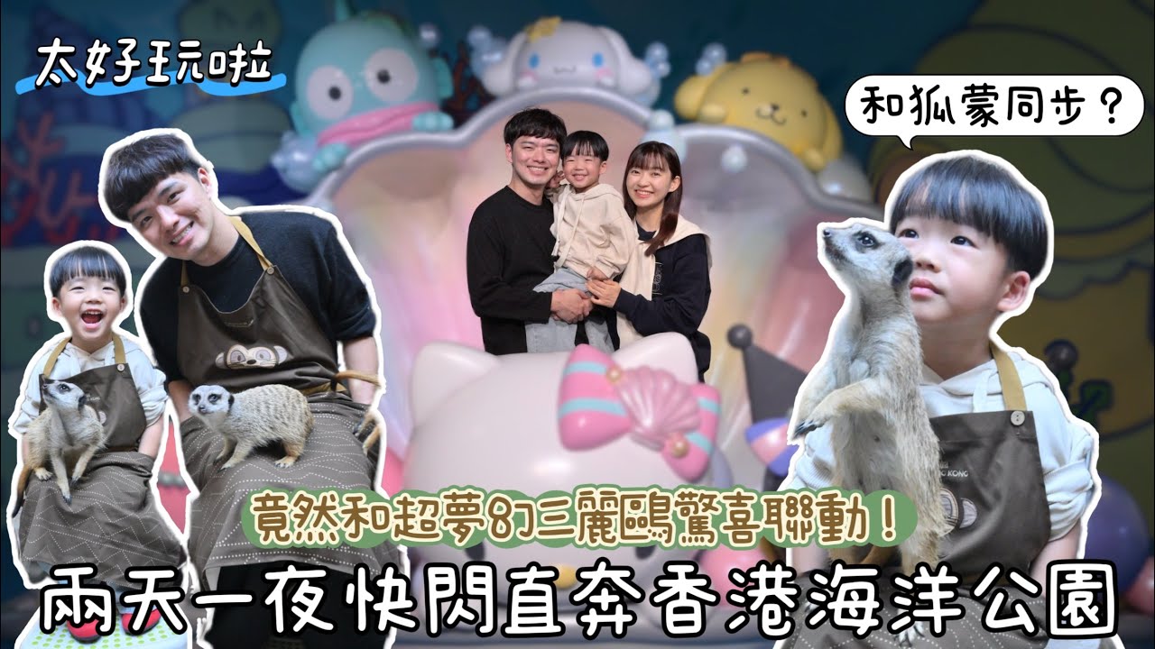 帶孩子跟三麗鷗明星們見面！在香港海洋公園開Party啦！香港2天1夜Vlog