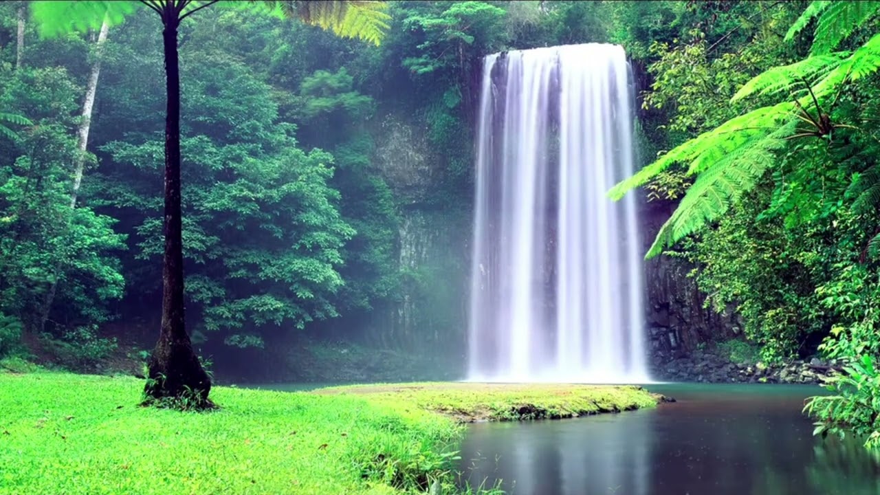 Erev Shabbat Calm Meditation | When the Hustle Voice Won’t Let You Rest