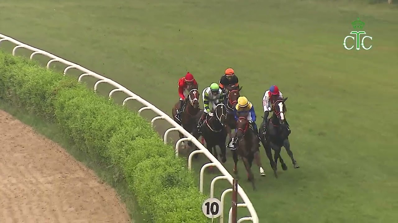 Скачки № 173, Гандикап в Аббевиле