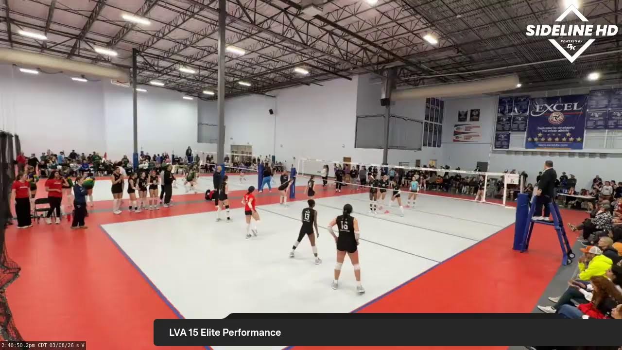 LVA 15 Elite Perfo (2026.03.08)
