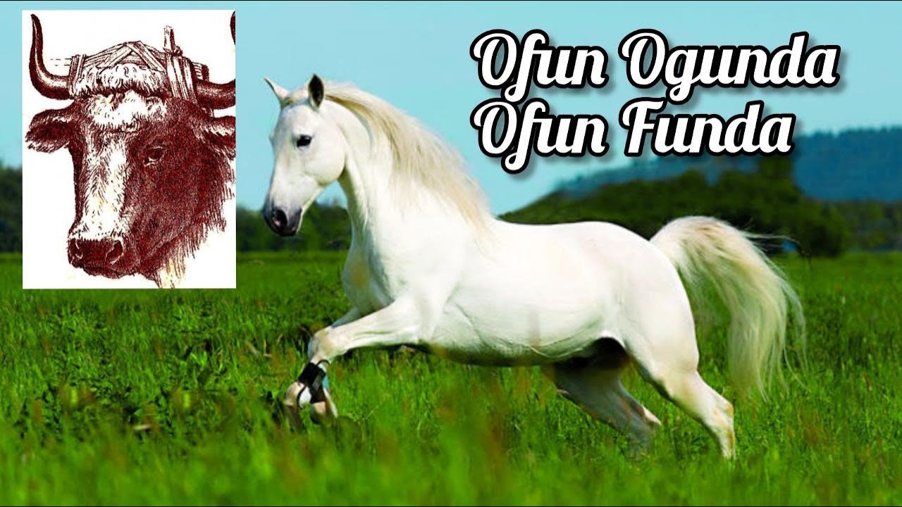 Ofun Ogunda , Ofun Funda , Ofun Gunda . En Donde Se Aprendió Ifa Por Vez Primera En El Mundo .