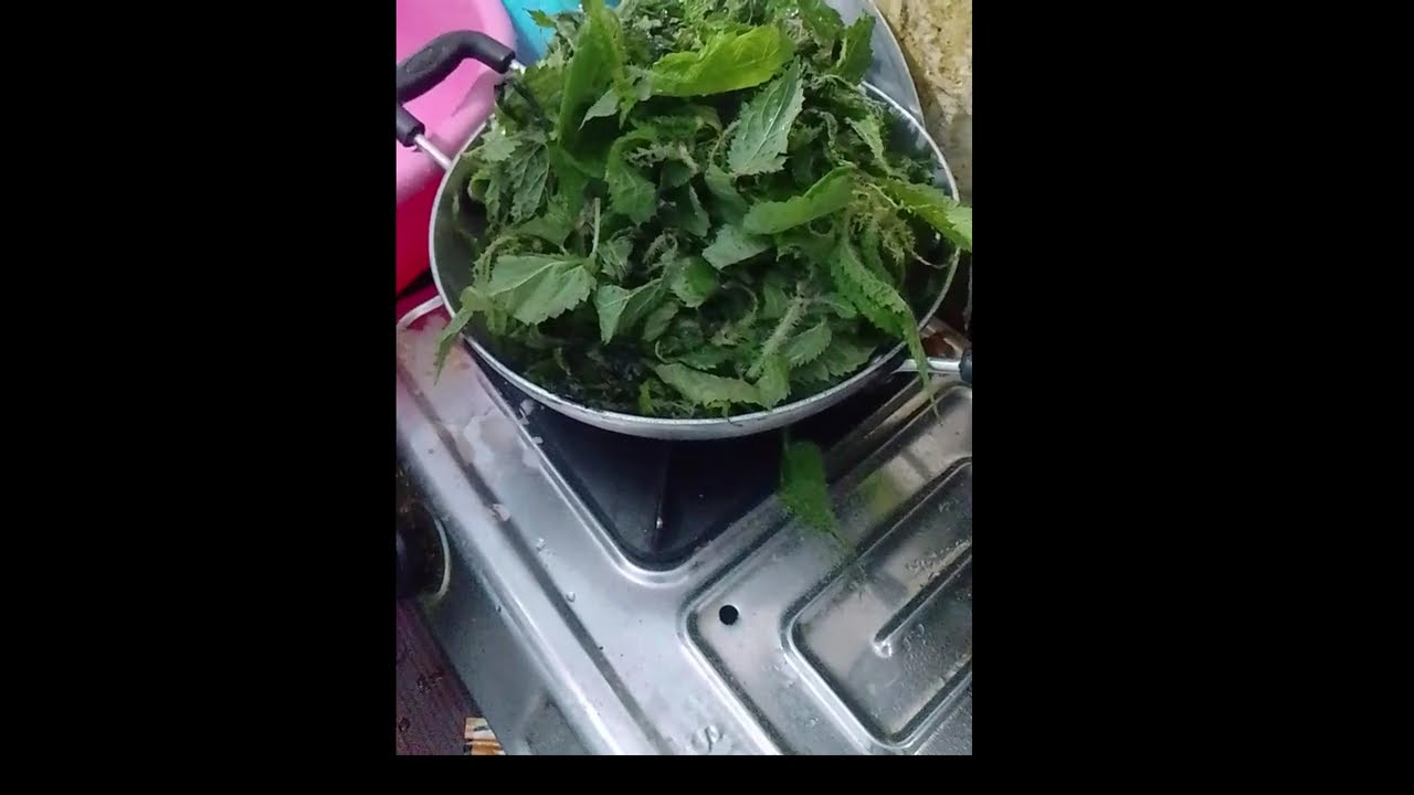 Nettle cooking video. Nepali food Sisnu (nettle) cooking.