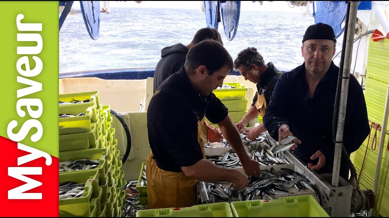 Un jour chez nous : La pêche à la sardine (Gendreau)