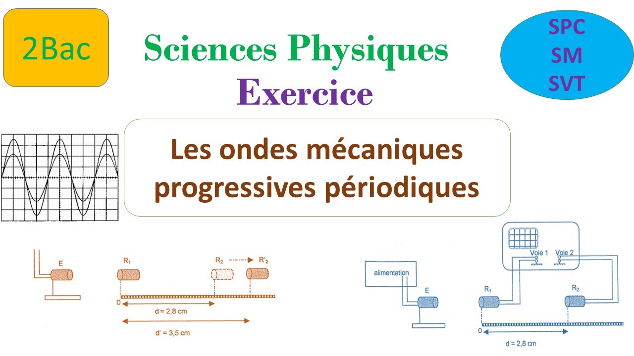 exercice - les ondes mécaniques progressives périodiques